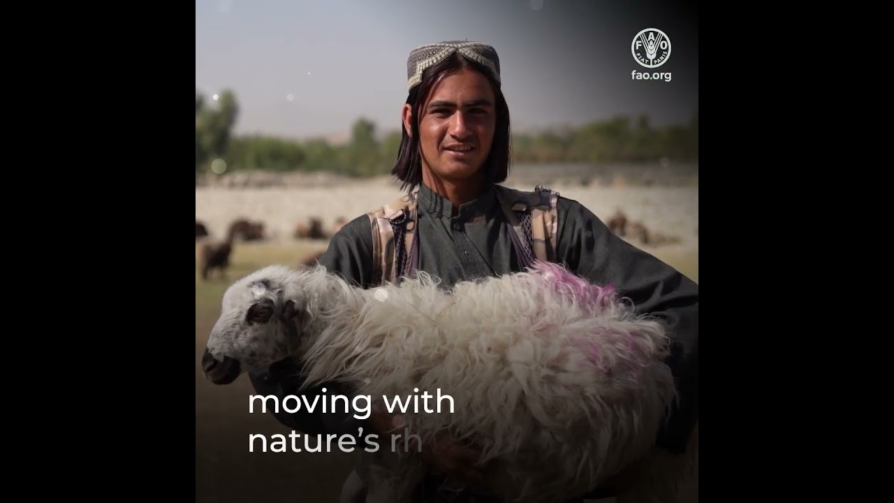 Caring for soils, empowering people