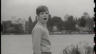 Heintje - Schwalbenlied (Officiële video)