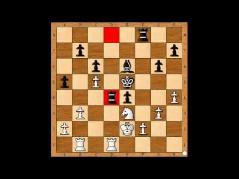 7.3. IM Peter Michalík - IM   János Könnyű  1/2 -1/2