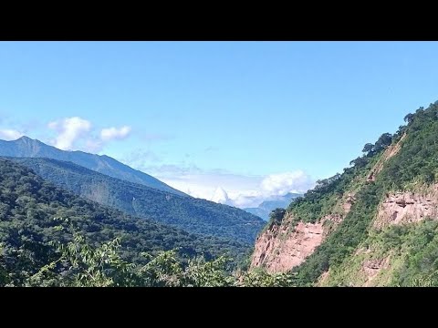 Parte 1 llegué a las Yungas del jujuy  Parque nacional el Calilegua 