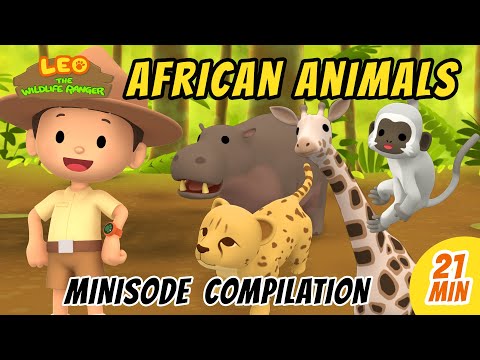 African Animals Minisode Compilation - Leo the Wildlife Ranger | Animation | For Kids