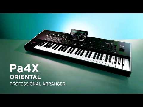 Dvojka Ivica Korg pa4x