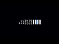 Ludwig Amadeus Really Bad Porn HD