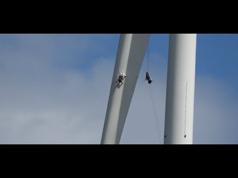 Metsolan Metsäkoulu 294 - Millainen tuulivoimasopimus kannattaa tehdä,  osa 3