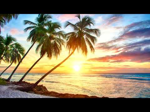 2Pac, B.o.B, and Owl City - Smile For Airplanes And Fireflies (Nedu Mix) // slowed + reverb