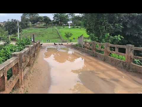 [ ATUALIZAÇÃO DO CANAL ][ SEGUNDA-FEIRA PRODUTIVA ][ JOAQUIM GOMES -AL ][ CIDADE DE MILHÕES ]