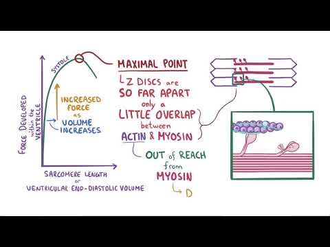 Frank Starling Relationship | Osmosis