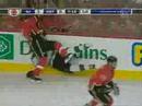 Best of the NHL 2007-2008