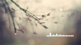 Tedy Lost and Found (Japanese EDM)