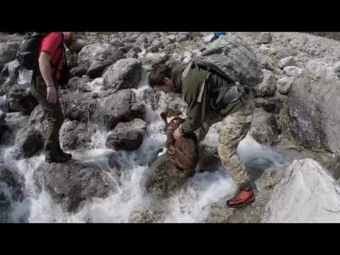 Dolomiti friulane, val cimoliana