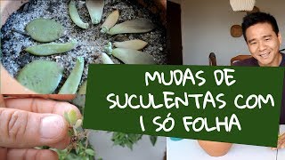 Miniatura do vídeo