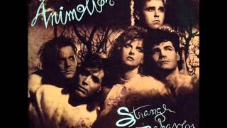 Animotion - Stranded