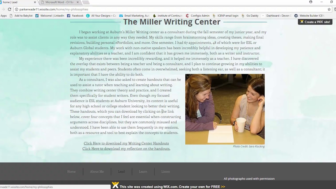 Example of E-portfolio theme