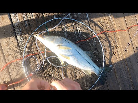 Fishing for Spawning Snook on YouTube