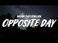 Megan Thee Stallion Opposite Day Lyrics