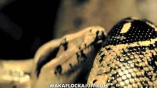Waka Flocka Flame - Snakes In The Grass music video