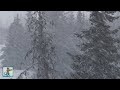 Relaxing Snowfall ~ Heavy Falling Snow & The Best Relax Music