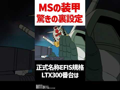 戦闘飛行隊 2/11 ヴォージュ - 定義
