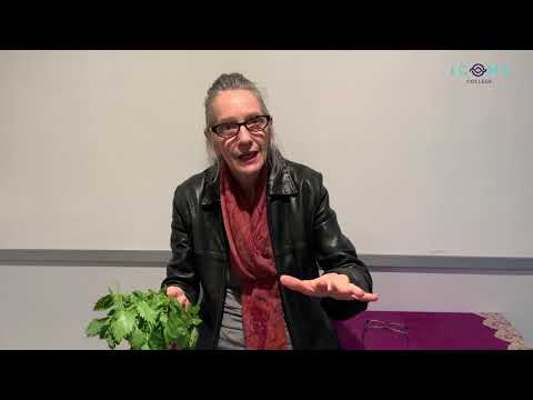 Medical Herbalist and Clinical Nutritionist explains the benefits of stinging nettle.