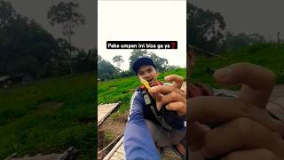 Download lagu Tes umpan udang karet #mancing #ikanreddevil #saguling #shorts mp3
