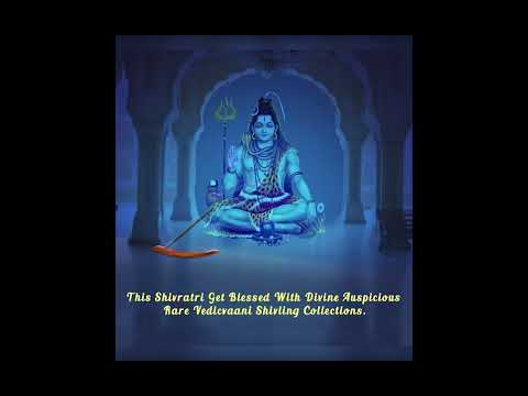 Rudradev Mahadev Trinetra Dhari Ardhanarishvara Shiva Shakti Shivling video