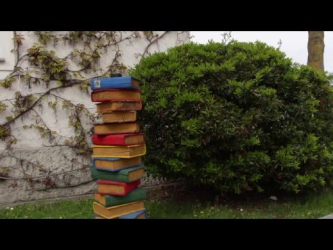 Kulturportal - Tradition: Fest der Kulturen in Ruhstorf