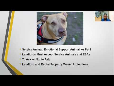 Is Your Rental Property Service Animal Friendly? 4 Critical Tips to Keep You Out of the Dog House