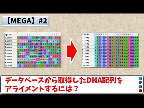 シーケンスアライメントについて詳しく解説