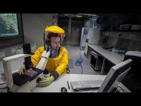 No safe vaccine against coronavirus