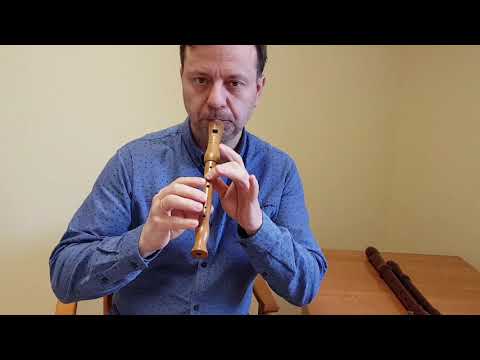 Nauka gry na flecie prostym. Lekcja 1