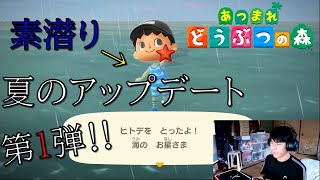海開き解禁 素潜りもできる！ラコステも登場‼︎【あつまれどうぶつの森】