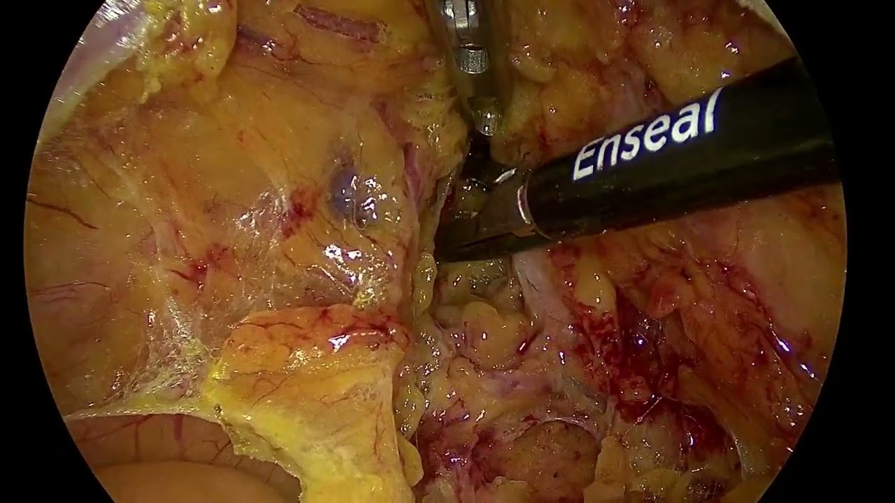 Gustavo Durán Hernández-10