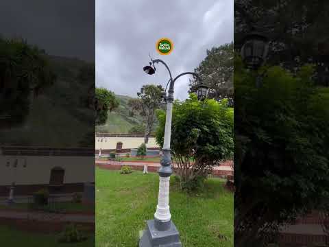 Cada pueblo tiene su encanto El Cobre en el municipio José María Vargas. Andes venezolanos.