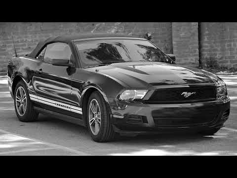 Alex Rogov, Rendow   Alive