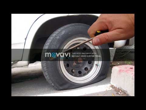 Sused mi odorava - southlanders