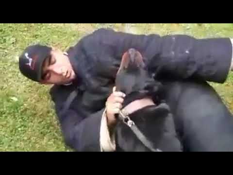 10000000 2188541754626041 7887010486170943488 n