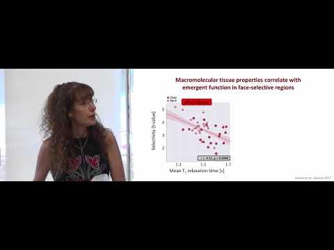 Kalanit Grill-Spector - Neural mechanisms of the development of face perception
