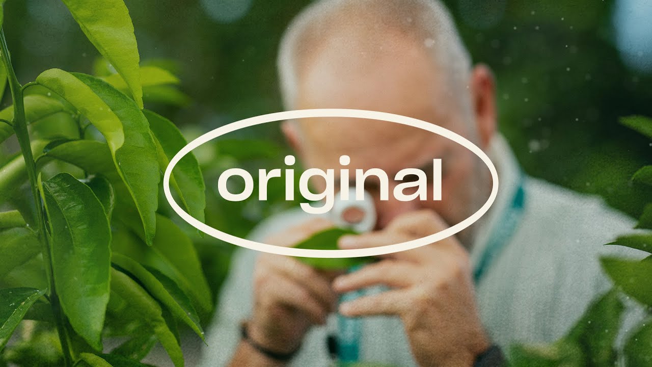 Video preview poster