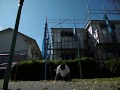 21 Muscle ups+腕立て100回+Reverse grip 11 Muscle ups マッスルアップ21回+腕立て100回+逆手マッスルアップ11回