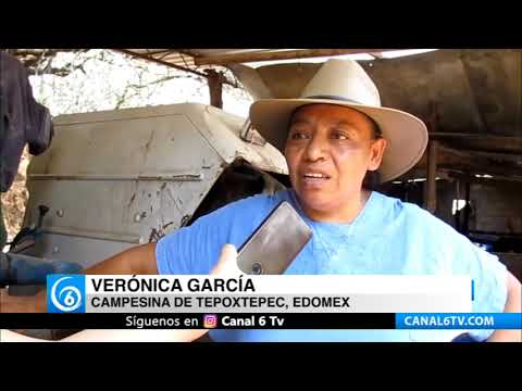 Video: Campesinos del Edomex denuncian falta de apoyo a la siembra