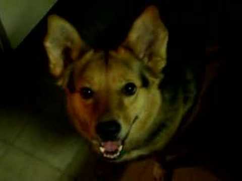 Rakiya loves toast! by 3AXAP