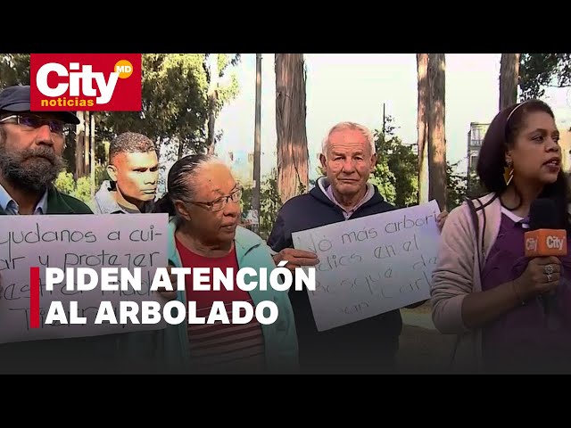 Comunidad rechaza tala de 33 árboles en Rafael Uribe Uribe