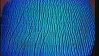 The Dillinger Escape Plan - The Mullet Burden - HD 720p