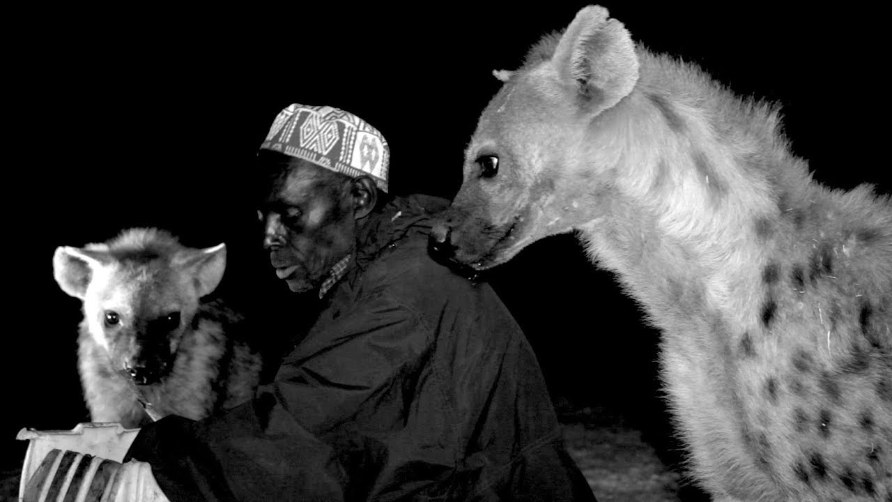 IDFA 2017 | Trailer | Hairat