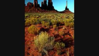 The Host Trailer as I see it