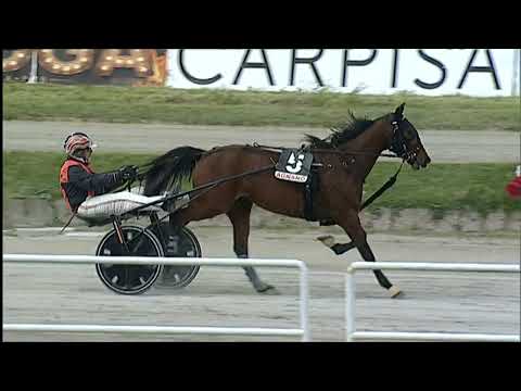 Napoli Trotto 14/04/2023 - 2ª corsa