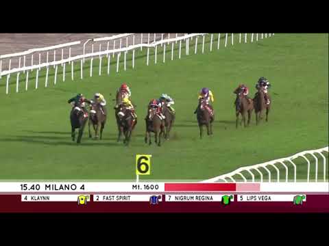 Premio Dormello - Gruppe 2