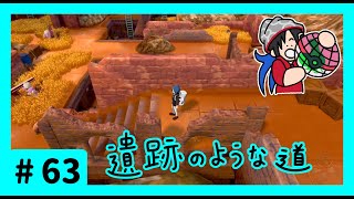 ★ポケモン　ソード★ワクワクがダイマックス！ガラル旅★初見実況#63★