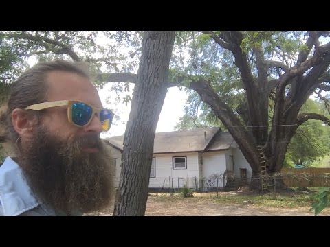 Worlds Greatest Kiting 99 - I Saw The Sign