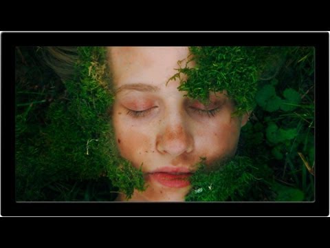 How to Set Up and Use a Wacom Tablet